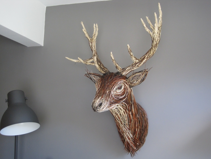 Red Deer Trophy Head