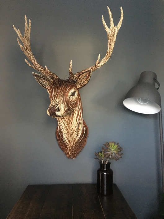 Willow Stag Trophy Head
