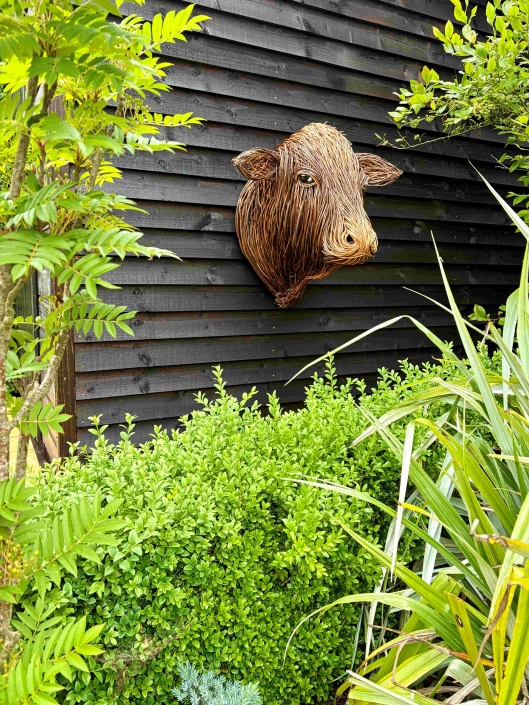 Brown Cow