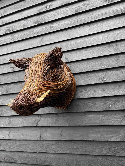 Wild Boar